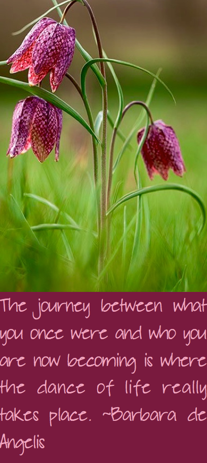 Screen Shot 2016-05-10 at 9.48.06 PM.png