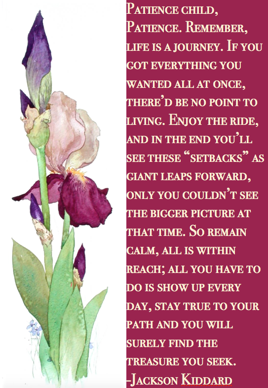 Screen Shot 2016-05-11 at 8.55.57 PM.png