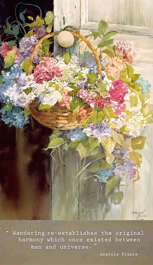 Screen Shot 2016-05-12 at 10.32.02 PM.png