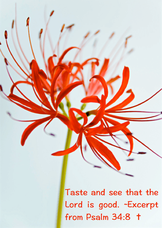 Screen Shot 2016-05-14 at 10.47.34 PM.png