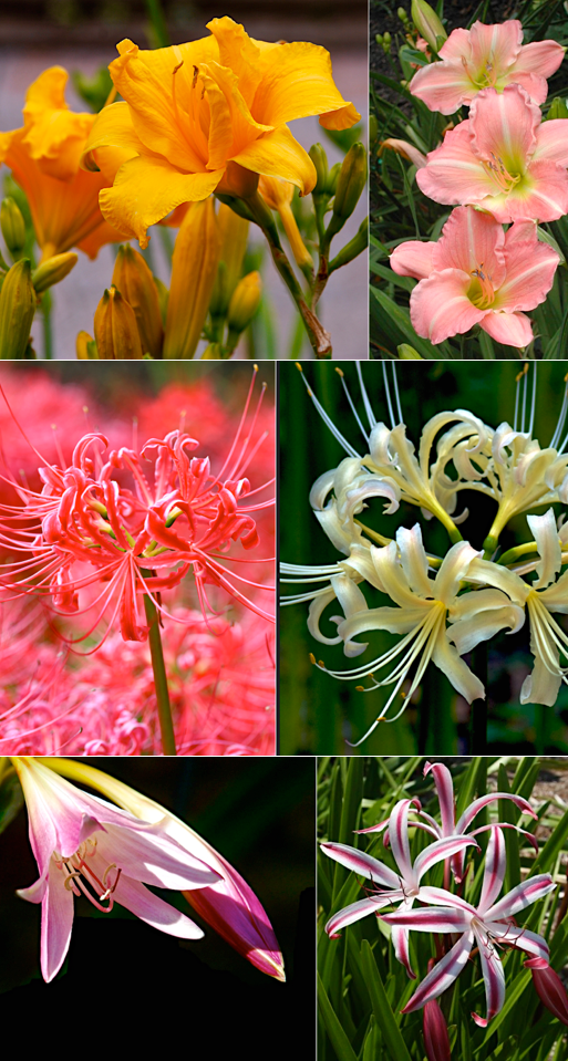 Screen Shot 2016-05-14 at 9.54.06 PM.png