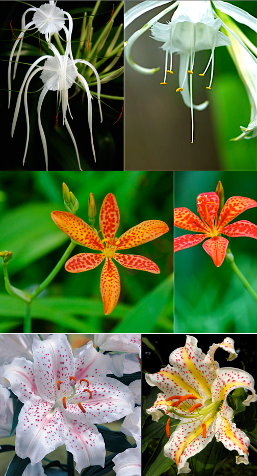 Screen Shot 2016-05-14 at 9.58.00 PM.png