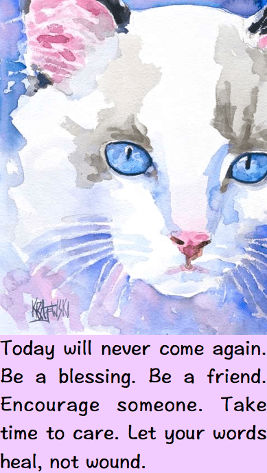 Screen Shot 2016-05-15 at 11.29.01 PM.png