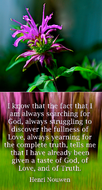 Screen Shot 2016-05-15 at 2.55.09 PM.png