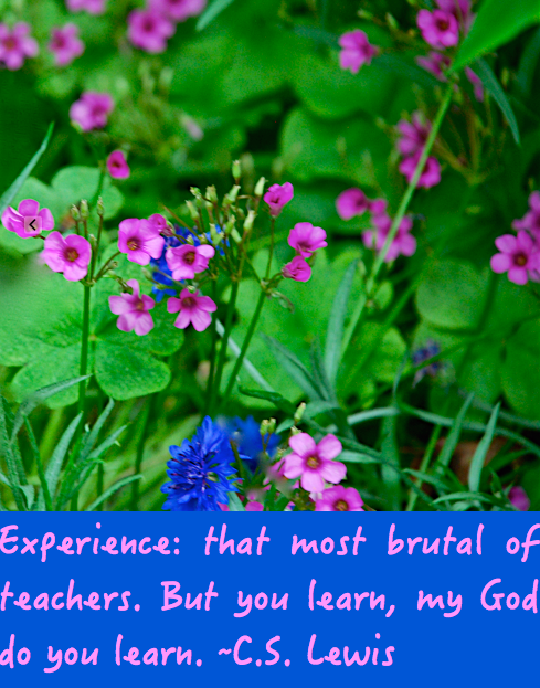 Screen Shot 2016-05-16 at 4.49.01 PM.png