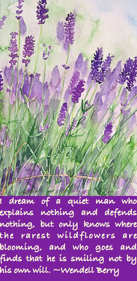 Screen Shot 2016-05-17 at 10.46.40 PM.png