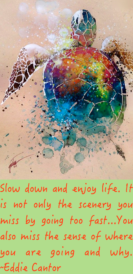 Screen Shot 2016-05-17 at 11.13.03 PM.png