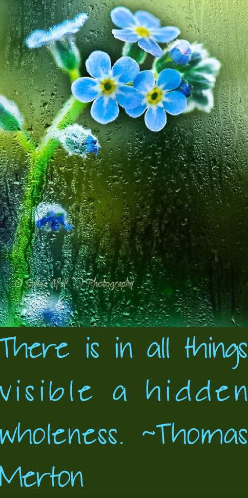 Screen Shot 2016-05-17 at 12.02.19 AM.png