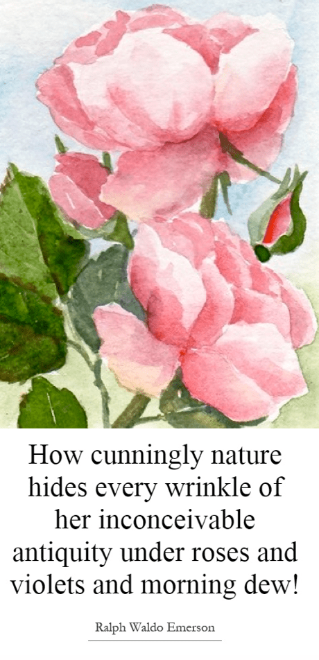 Screen Shot 2016-05-18 at 10.37.31 PM.png