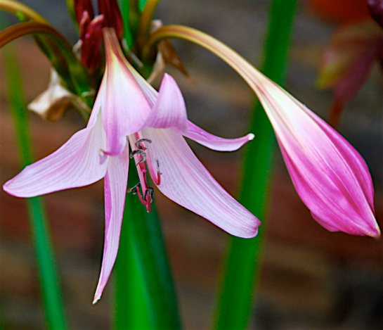 Screen Shot 2016-05-18 at 6.56.54 PM.png