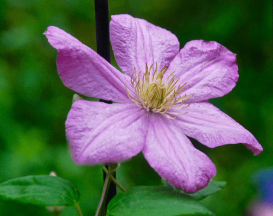 Screen Shot 2016-05-18 at 7.41.48 PM.png