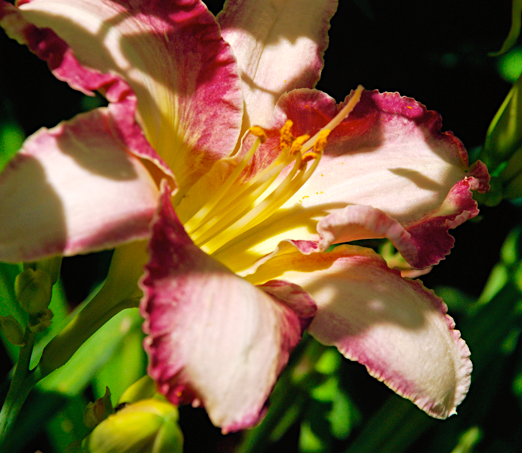 Screen Shot 2016-05-18 at 8.09.25 PM.png