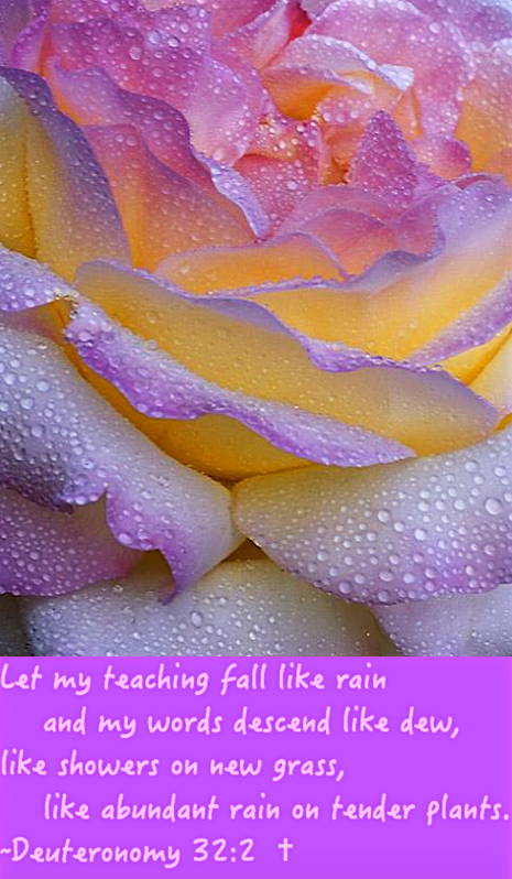 Screen Shot 2016-05-19 at 8.28.26 AM.png