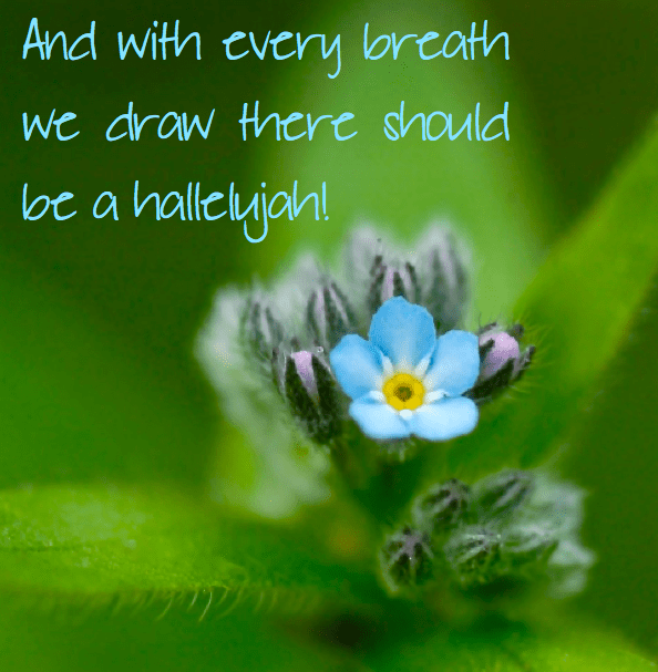 Screen Shot 2016-05-21 at 11.04.03 PM.png