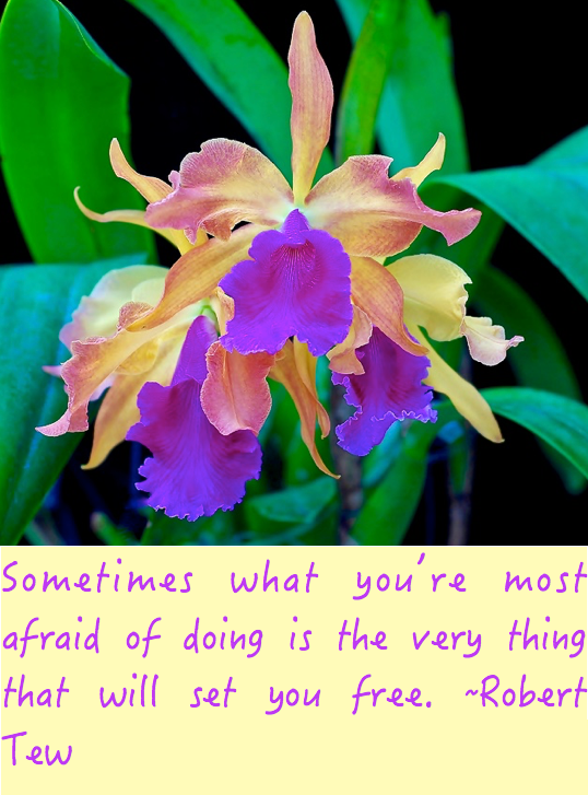 Screen Shot 2016-05-21 at 11.08.42 PM.png