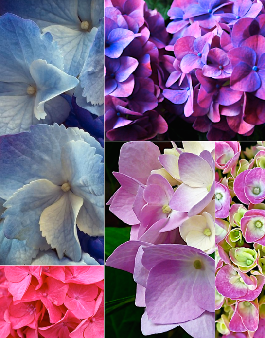 Screen Shot 2016-05-21 at 3.26.43 PM.png