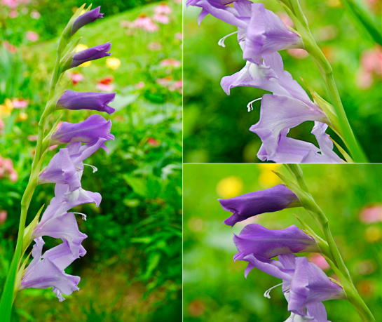 Screen Shot 2016-05-22 at 4.06.09 PM.png