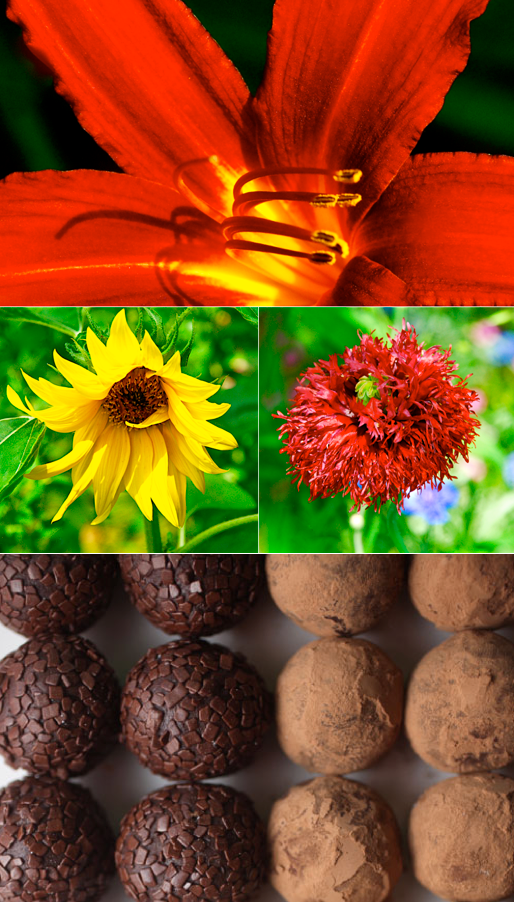 Screen Shot 2016-05-22 at 4.37.14 PM.png