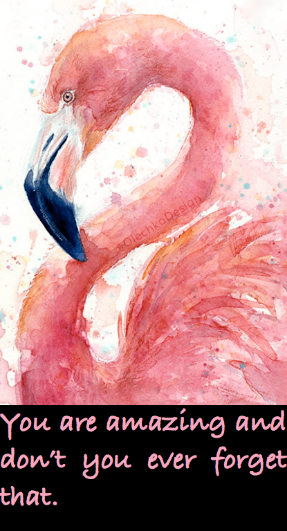 Screen Shot 2016-05-24 at 3.12.52 PM.png