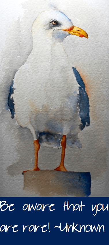 Screen Shot 2016-05-24 at 4.34.51 PM.png