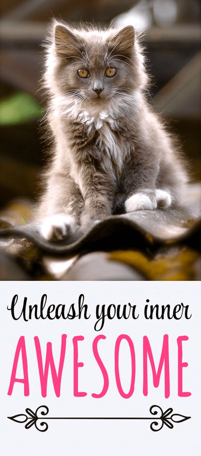 Screen Shot 2016-05-27 at 11.15.17 PM.png