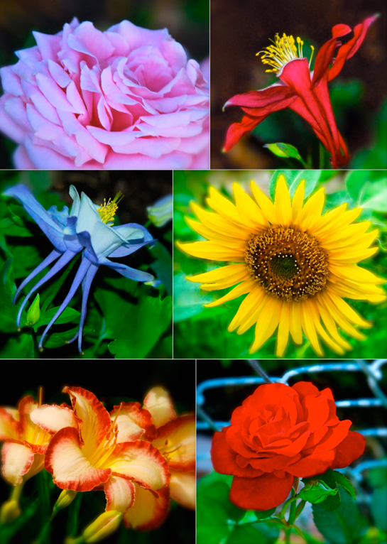 Screen Shot 2016-05-27 at 8.06.37 PM.png