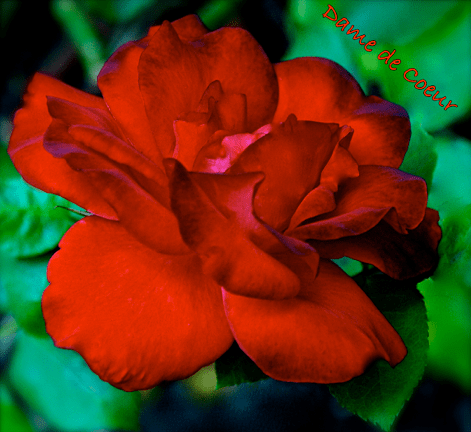 Screen Shot 2016-05-29 at 10.21.01 PM.png