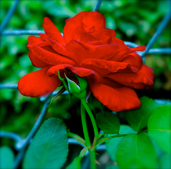 Screen Shot 2016-05-29 at 10.22.35 PM.png