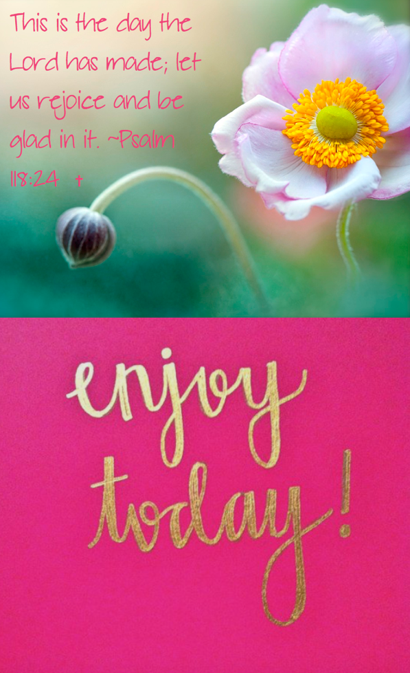 Screen Shot 2016-05-29 at 12.06.45 PM.png