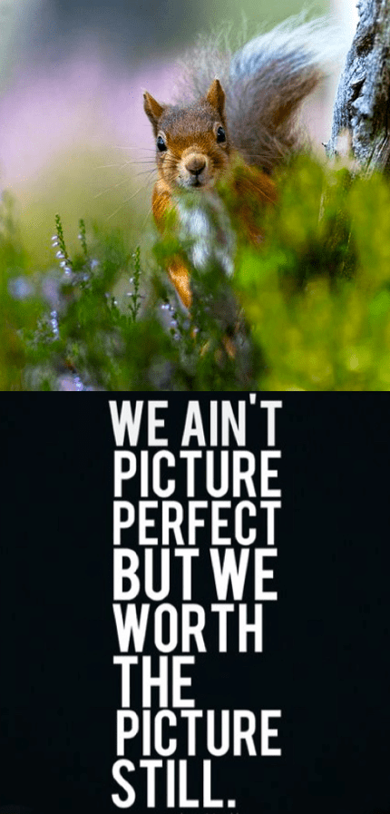 Screen Shot 2016-05-30 at 11.17.45 PM.png