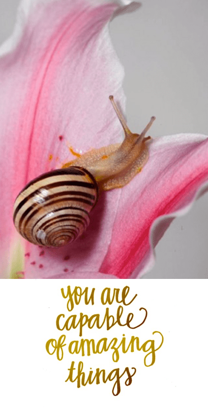 Screen Shot 2016-05-31 at 3.53.15 PM.png