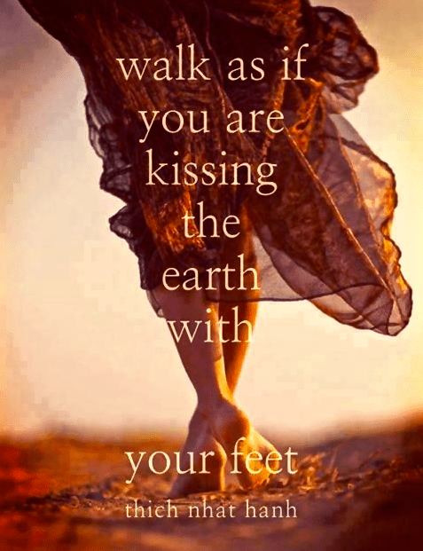 Screen Shot 2016-05-31 at 7.42.34 PM.png