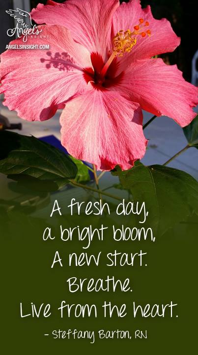 13532869_10154330082714511_6403580577836132793_n