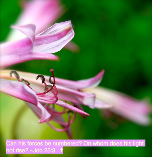 Screen Shot 2016-06-01 at 10.10.18 PM.png