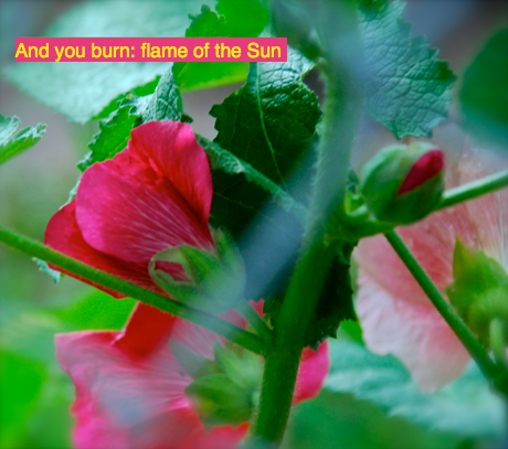 Screen Shot 2016-06-01 at 10.27.46 PM.png