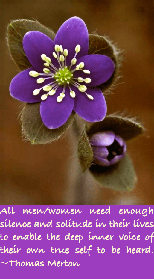 Screen Shot 2016-06-01 at 11.06.20 PM.png