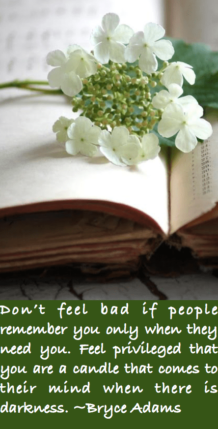 Screen Shot 2016-06-01 at 11.13.13 PM.png