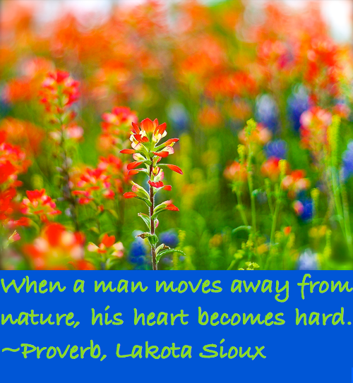 Screen Shot 2016-06-01 at 2.59.51 PM.png