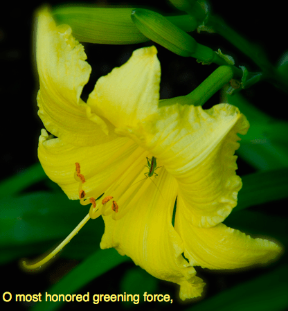 Screen Shot 2016-06-01 at 9.39.32 PM.png