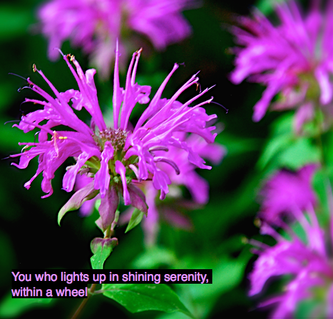 Screen Shot 2016-06-01 at 9.45.47 PM.png