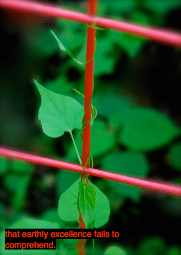 Screen Shot 2016-06-01 at 9.48.23 PM.png