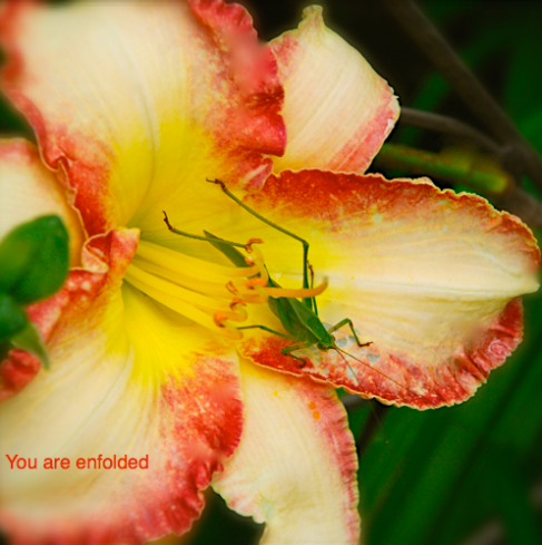 Screen Shot 2016-06-01 at 9.50.09 PM.png