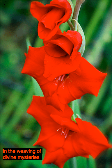 Screen Shot 2016-06-01 at 9.52.23 PM.png