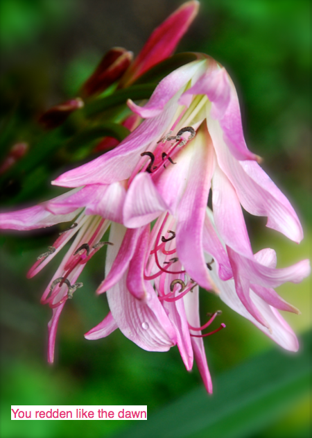 Screen Shot 2016-06-01 at 9.55.01 PM.png