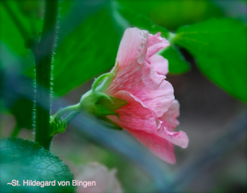 Screen Shot 2016-06-01 at 9.59.43 PM.png