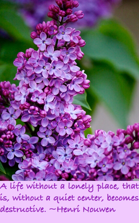 Screen Shot 2016-06-02 at 11.13.52 PM.png