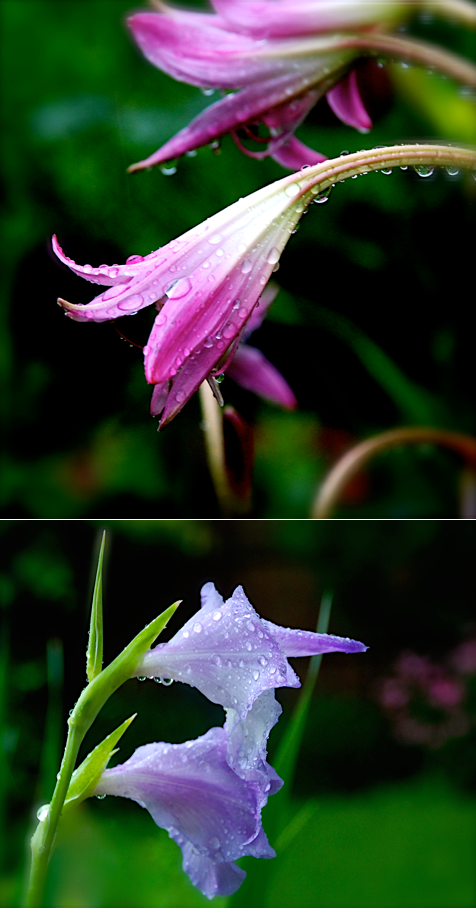 Screen Shot 2016-06-02 at 6.35.14 PM.png