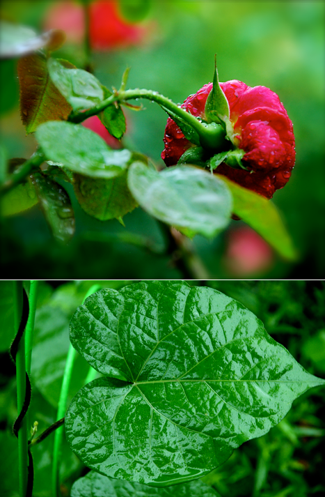 Screen Shot 2016-06-02 at 6.39.39 PM.png