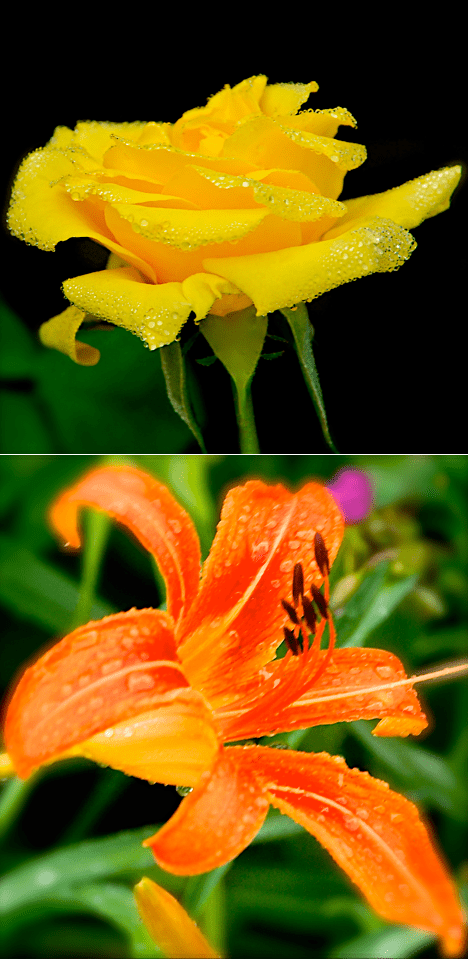 Screen Shot 2016-06-02 at 6.52.16 PM.png