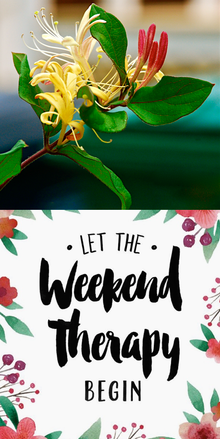 Screen Shot 2016-06-03 at 2.41.53 PM.png